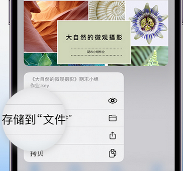 武陵apple维修中心分享iPhone文件应用中存储和找到下载文件