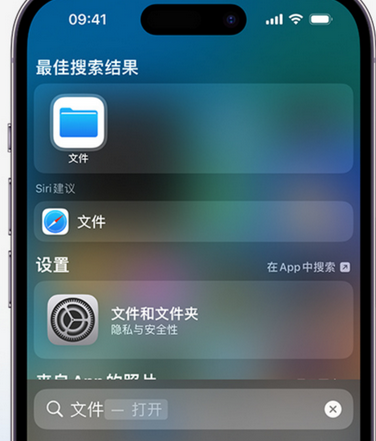 武陵apple维修中心分享iPhone文件应用中存储和找到下载文件