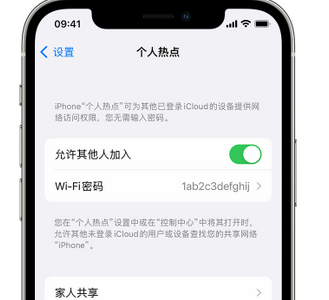 武陵apple服务站点分享iPhone上个人热点丢失了怎么办 