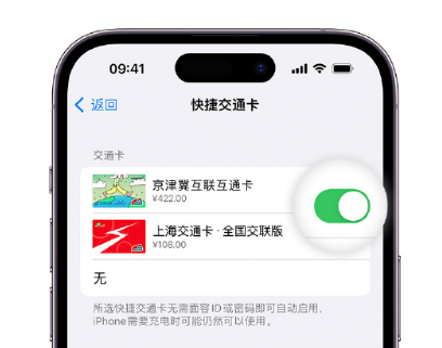 武陵apple维修点分享iPhone上更换Apple Pay快捷交通卡手绘卡面 