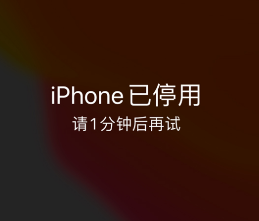 武陵苹果手机维修分享:iPhone 显示“不可用”或“已停用”怎么办？还能保留数据吗？ 