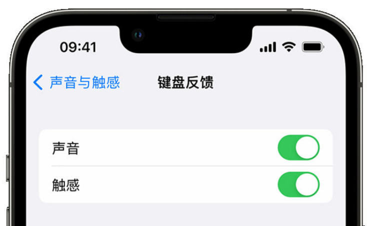 武陵苹果手机维修分享iPhone 14触感键盘使用方法 