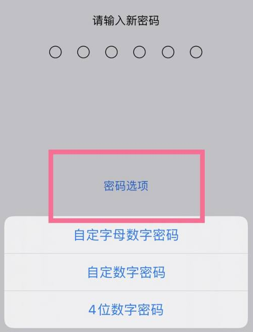 武陵苹果14维修分享iPhone 14plus设置密码的方法 