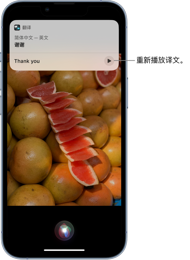 武陵苹果14维修分享 iPhone 14 机型中使用 Siri：了解 Siri 能帮你做什么 