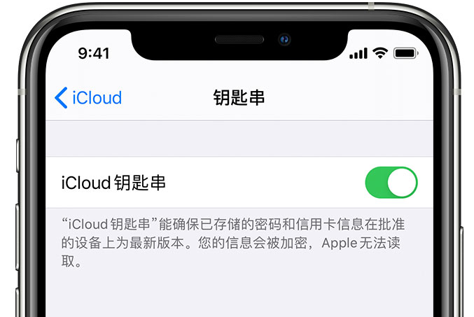 武陵苹果手机维修分享在 iPhone 上开启 iCloud 钥匙串之后会储存哪些信息 