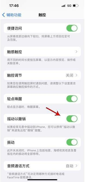 武陵苹果手机维修分享iPhone手机如何设置摇一摇删除文字 