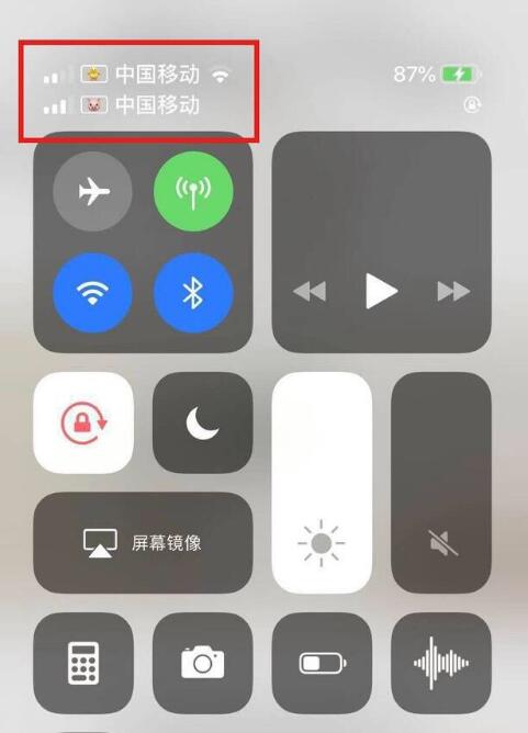 武陵苹果手机维修分享为 iPhone 12 双卡设置标签 